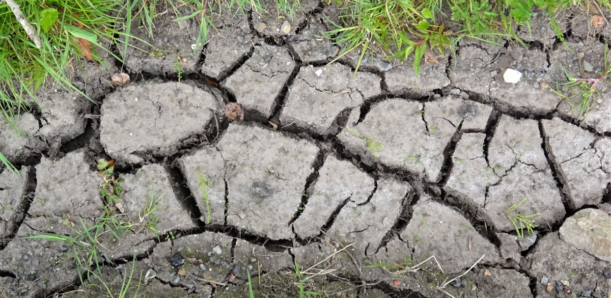 Omezení vody ve 30 slovenských a 120 maďarských obcích, Nitra svolala krizový štáb. Ochlazení přijde, deficit ne