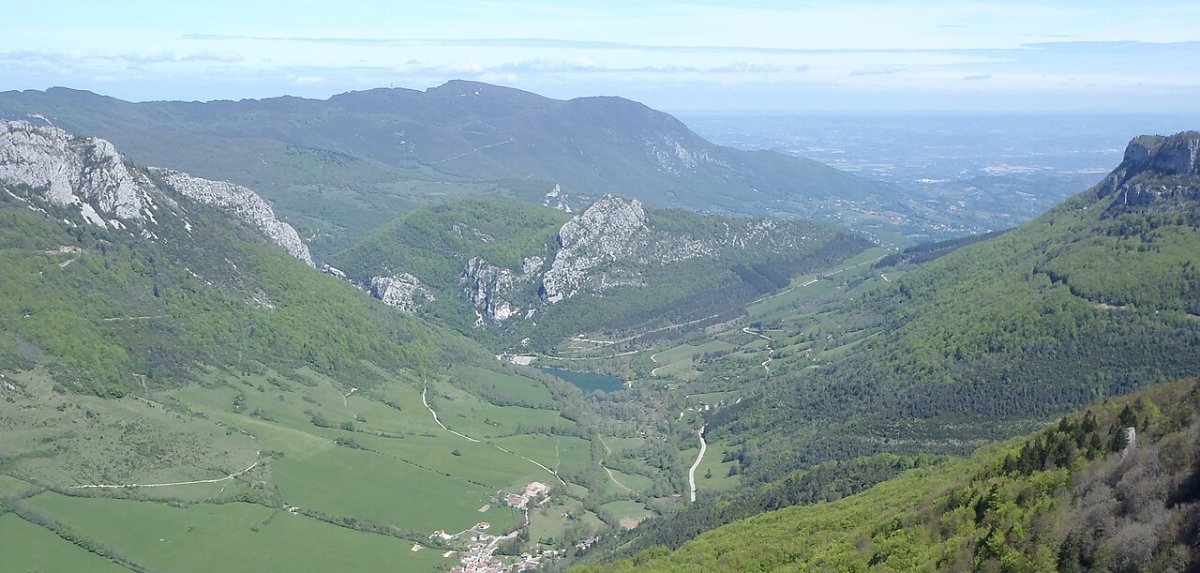 Vlci zabili na francúzskej pastvine 64 oviec za jednu noc. Chovateľ mal koncom augusta pri stáde dva psy aj elektrický ohradník