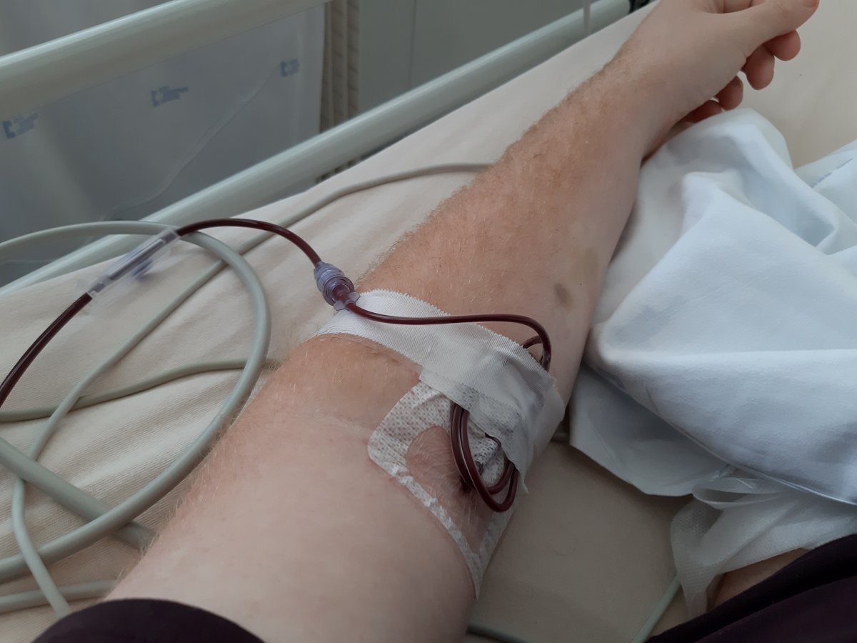 Jehovovi svedkovia povolili štyri hlavné zložky krvi. Zákaz zostal len na plnej krvi, ktorá sa v bežnej nemocnici podáva len zriedka
