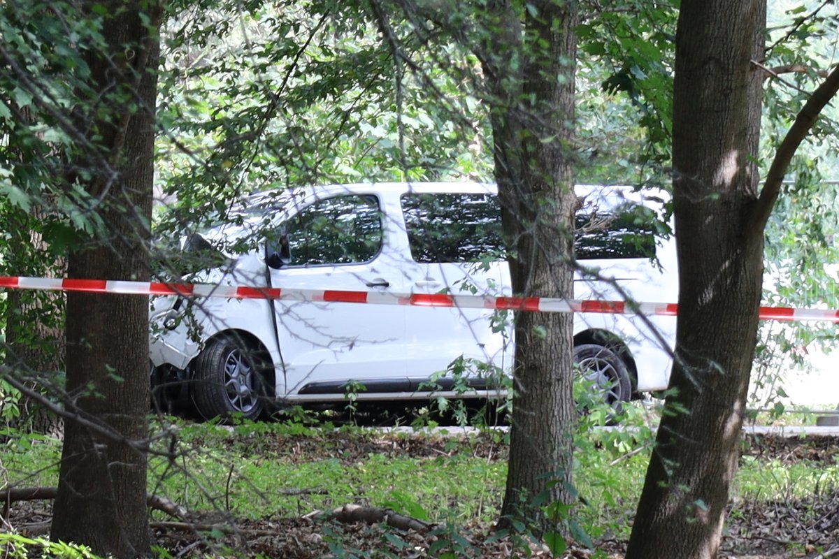 Frei expects rapid tightening of laws after CSD attack