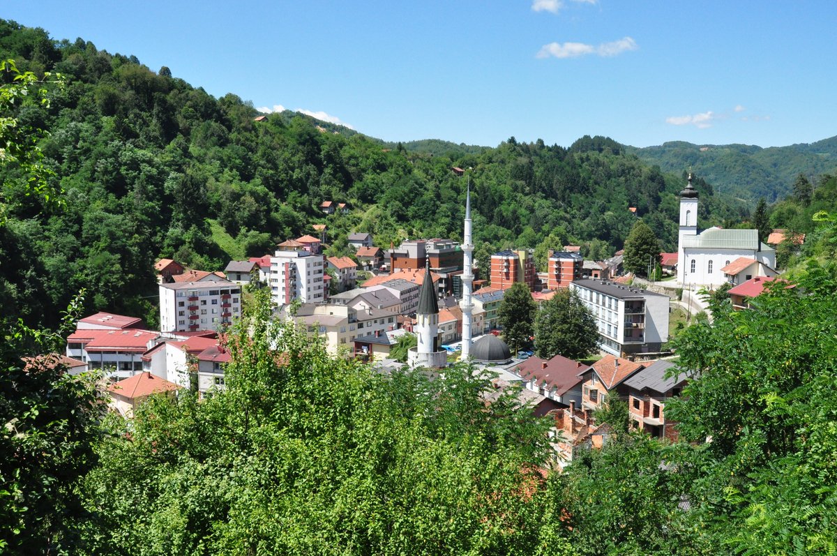 Ratko Mladič, Convicted of Genocide in Srebrenica, Dies
